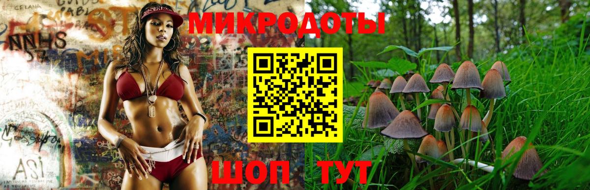 Бугульма  Псилоцибиновые грибы Psilocybine cubensis  Вход с VPN 